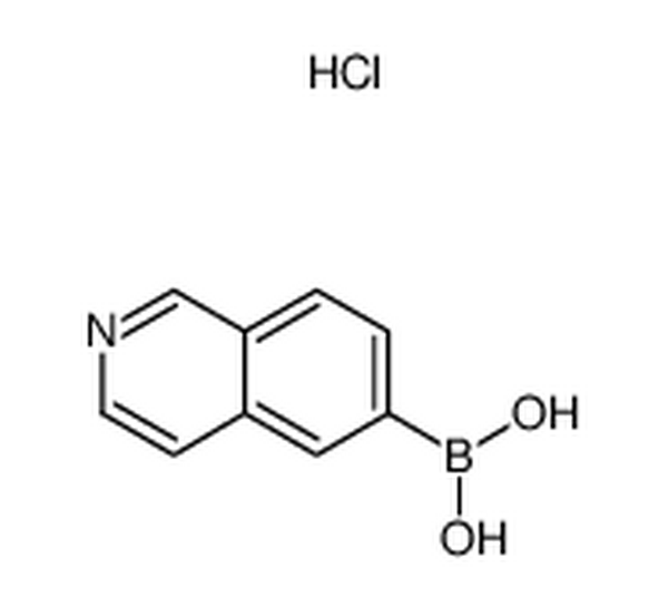 异喹啉-6-硼酸盐酸盐,isoquinolin-6-ylboronic acid hydrochloride