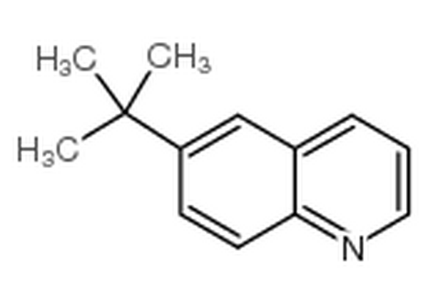 6-(1,1-二甲基乙基)喹啉,6-tert-Butylquinoline