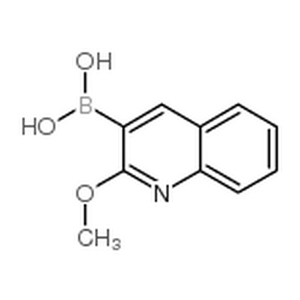 2-甲氧基喹啉-3-硼酸,2-Methoxyquinoline-3-boronic acid
