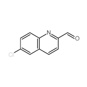 6-氯-2-喹啉羧醛