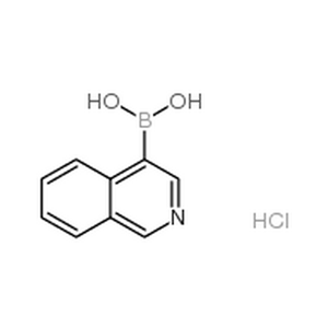 异喹啉-4-硼酸盐酸盐