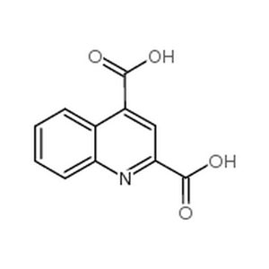喹啉-2,4-二羧酸