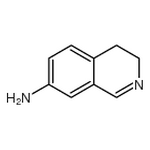 3,4-二氢-7-氨基异喹啉