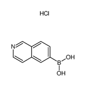 异喹啉-6-硼酸盐酸盐
