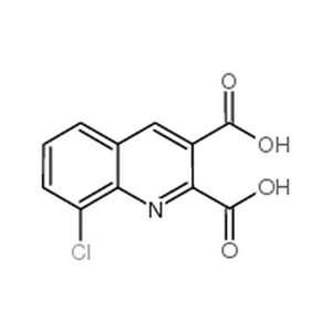 8-氯喹啉-2,3-二羧酸