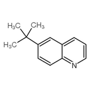 6-(1,1-二甲基乙基)喹啉,6-tert-Butylquinoline