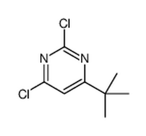 4-叔丁基-2,6-二氯嘧啶,4-tert-butyl-2,6-dichloropyrimidine