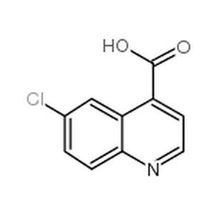 6-氯喹啉-4-甲酸