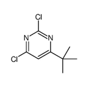 4-叔丁基-2,6-二氯嘧啶,4-tert-butyl-2,6-dichloropyrimidine