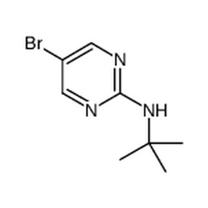 5-溴-2-叔丁基氨基嘧啶