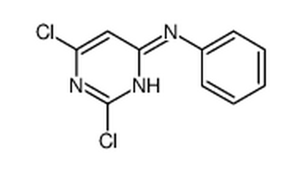 (2,6-二氯-4-嘧啶)-苯胺,2,6-dichloro-N-phenylpyrimidin-4-amine