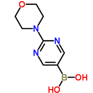 2-吗啉基嘧啶-5-基硼酸