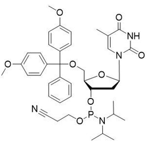 dT 亚磷酰胺单体,5