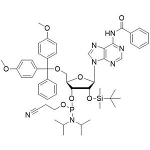 Bz-rA 亚磷酰胺单体,5