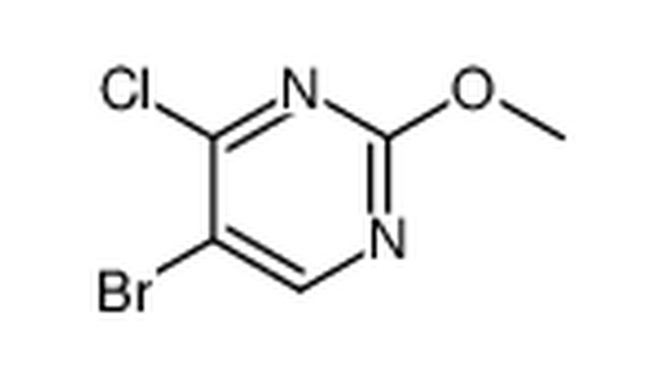 5-溴-4-氯-2-甲氧基嘧啶,5-bromo-4-chloro-2-methoxypyrimidine