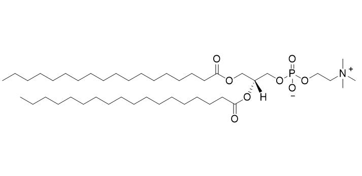 二硬脂酰基磷脂酰胆碱,1,2-Dioctadecanoyl-sn-glycero-3-phophocholine