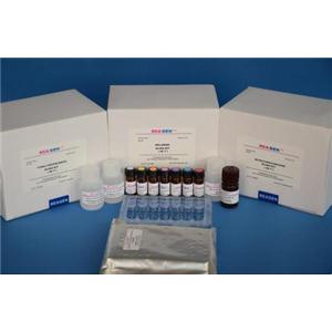亚洲分枝杆菌PCR定量试剂盒