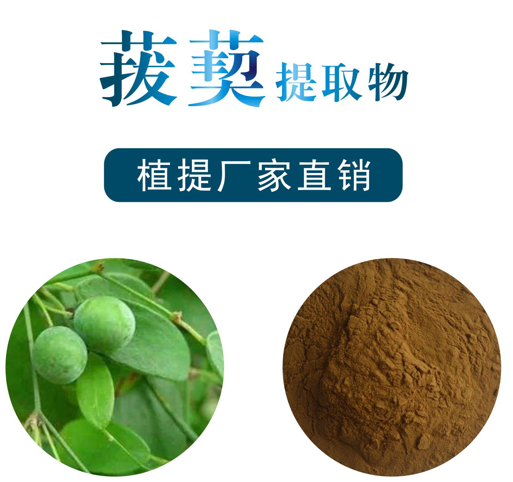 菝葜提取物,Smilax China extract