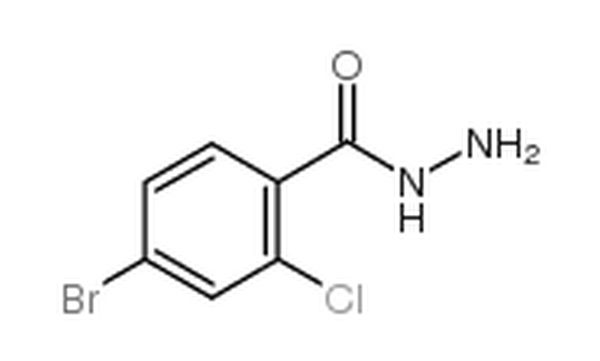 4-溴-2-氯苯肼,4-Bromo-2-chlorobenzhydrazide