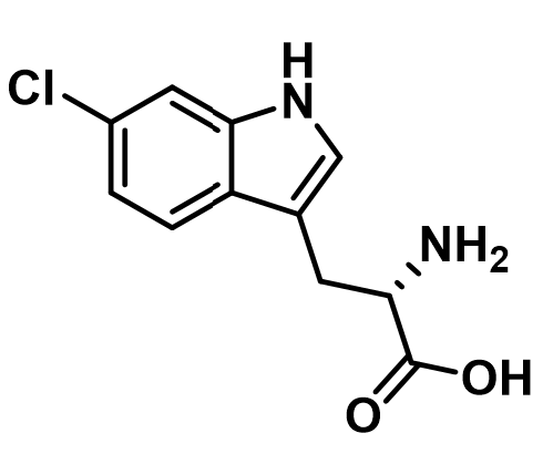 6-氯-L-色氨酸,6-Chloro-L-Tryptophan