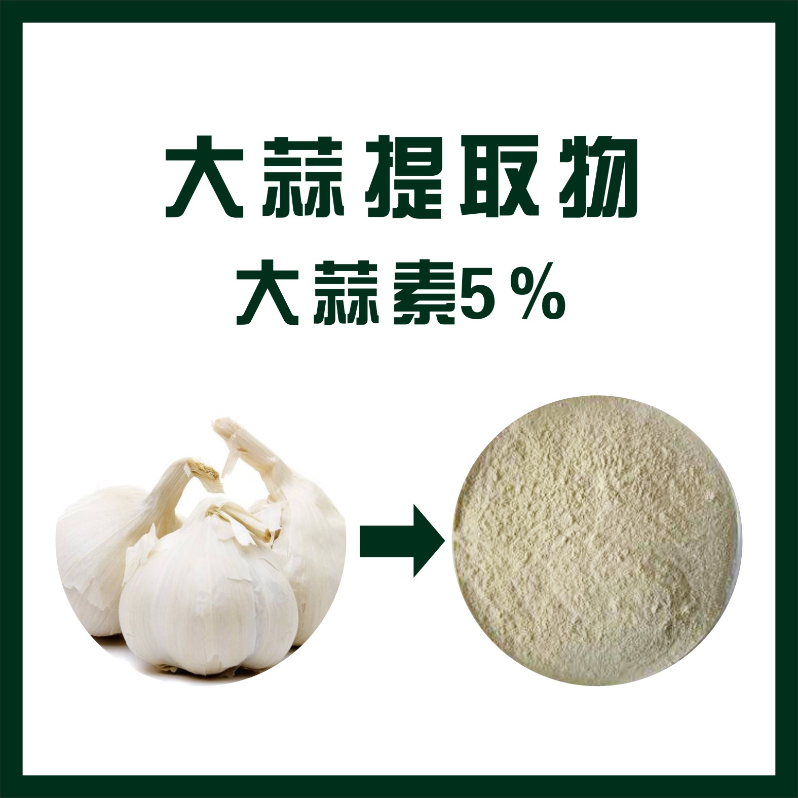 大蒜提取物,Garlic extract