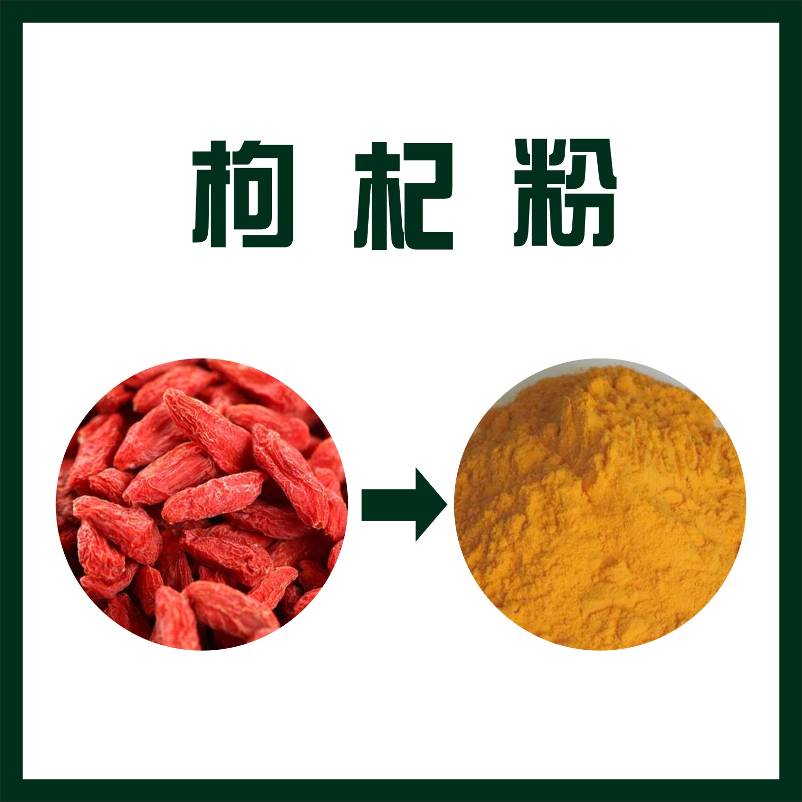 枸杞粉,Lycium barbarum powder