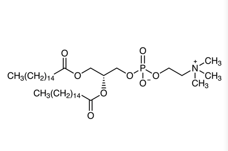 磷脂酰胆碱结构图片