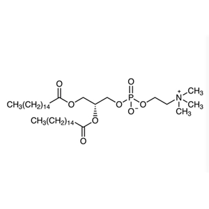 二棕榈酰磷脂酰胆碱