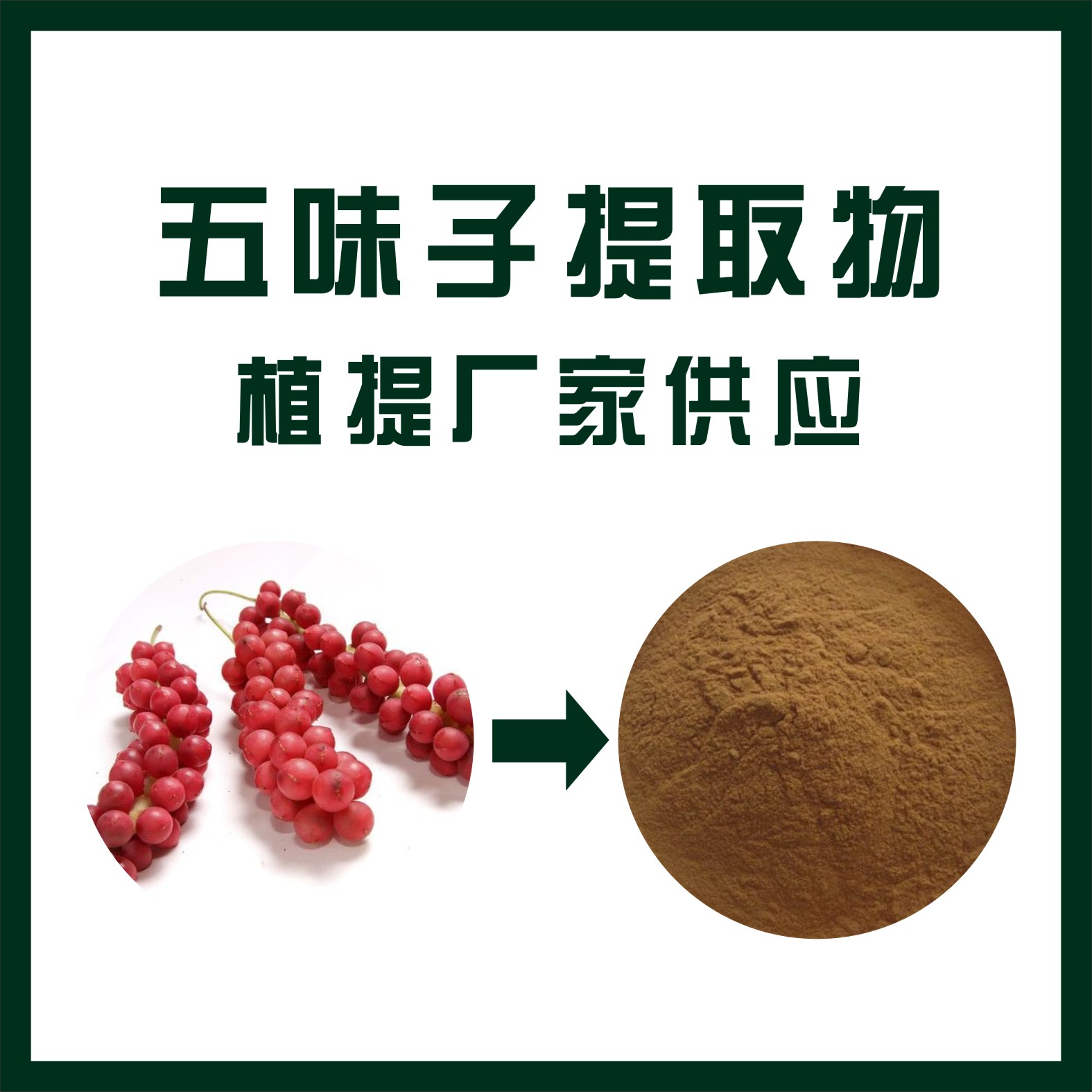 五味子提取物,Schisandra chinensis extract