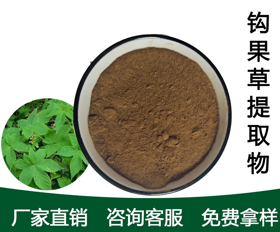 钩果草提取物,Uncinate fruit grass extract