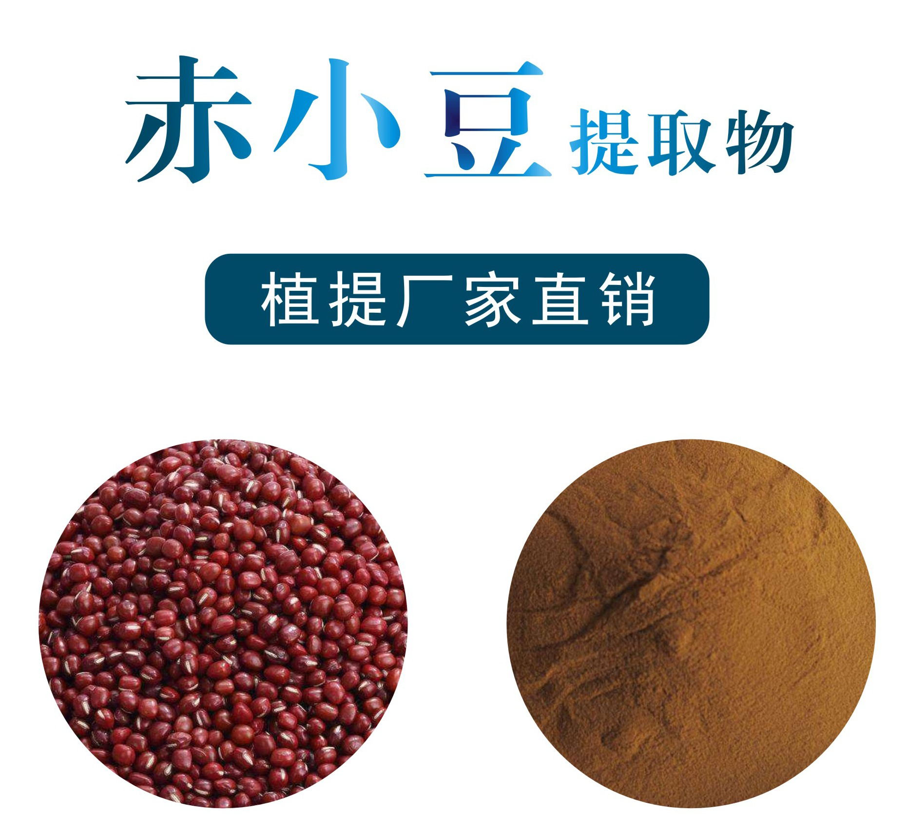 赤小豆提取物,Semen phaseoli extract
