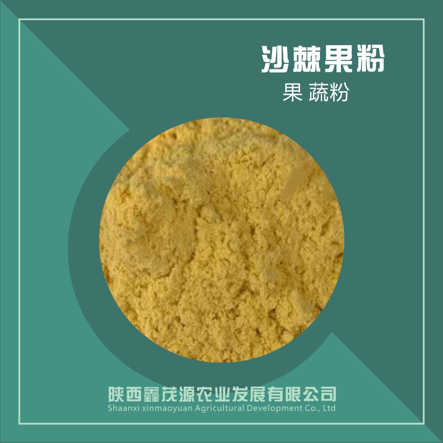 沙棘果粉,Seabuckthorn fruit powder