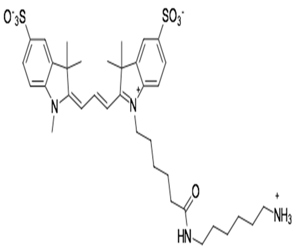 disulfo-Cy3 amine，Sulfo-Cyanine3 amine，磺化Cyanine3氨基,disulfo-Cy3 amine