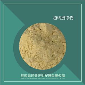 南瓜汁粉,Pumpkin juice powder