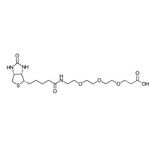 生物素-三聚乙二醇-羧酸，252881-76-8，Biotin-PEG3-acid