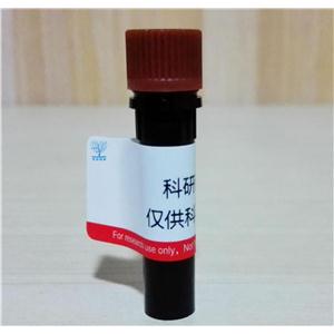 疊氮基-PEG9-叔丁酯,Azido-PEG9-t-butyl ester,N3-PEG9-TBu,Azido-PEG9-t-butyl ester