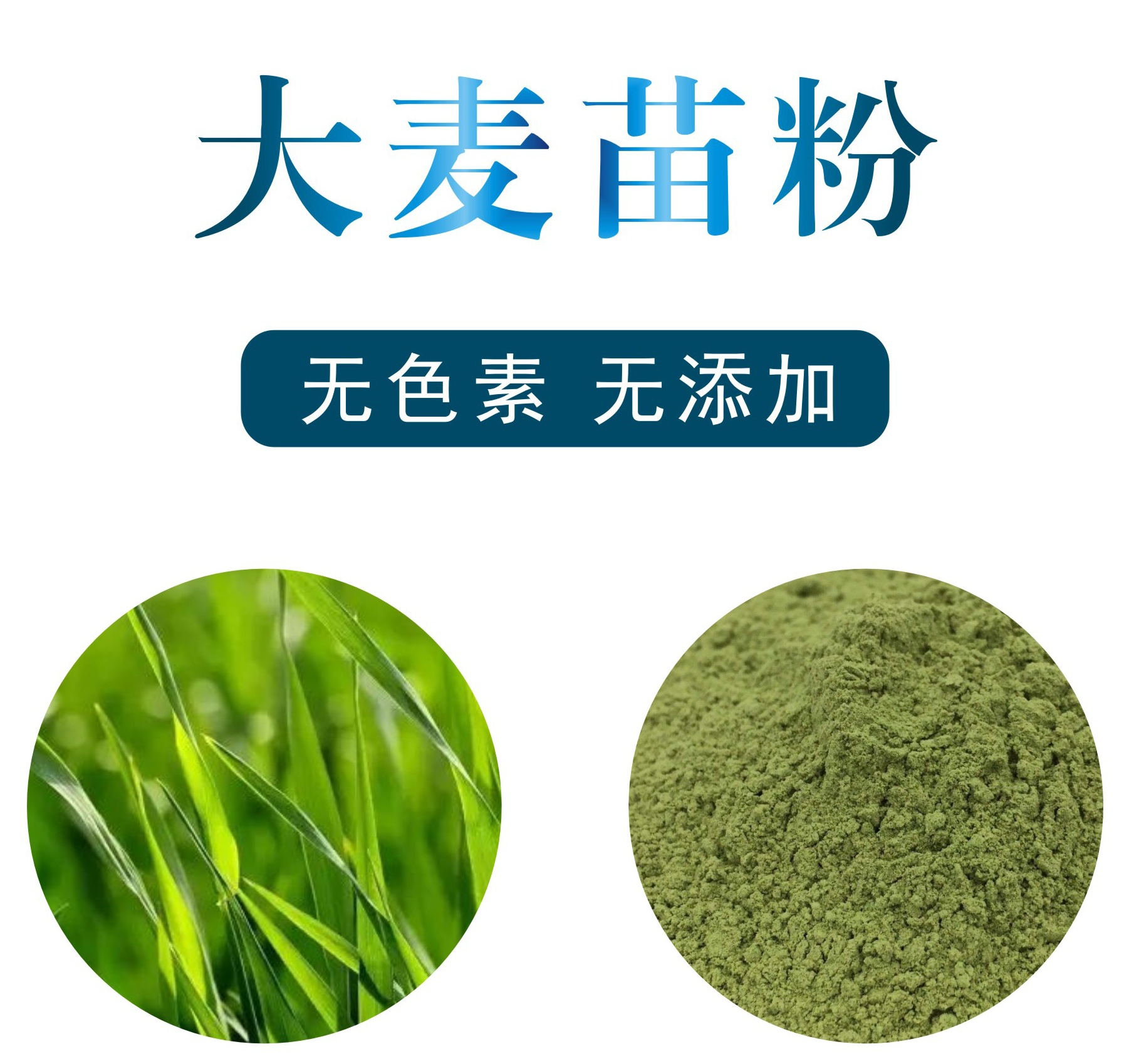 大麦苗粉,Wheat seedling powder