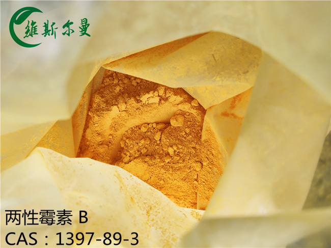 两性霉素 B,Amphotericin B