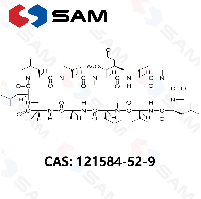 6-[(3R,4R)-3-(乙酰氧基)-N,4-二甲基-6-氧代-L-正亮氨酸]环孢菌素A,6-[(3R,4R)-3-(Acetyloxy)-N,4-dimethyl-6-oxo-L-norleucine] Cyclosporin A