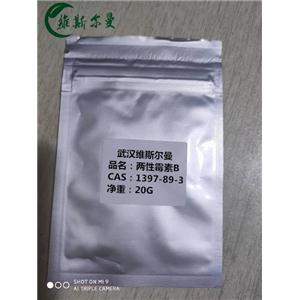 两性霉素 B,Amphotericin B