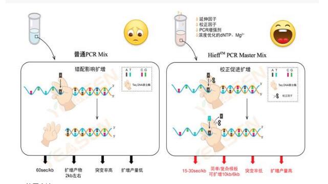 鏈球菌屬通用探針法熒光定量PCR試劑盒,Streptococcus spp.