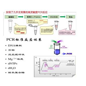 肉毒杆菌A/B型（CB-A/B）核酸试剂盒