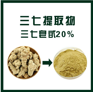 三七提取物,Notoginseng extract