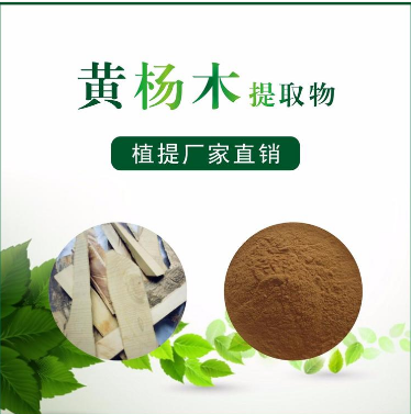 黄杨木提取物,Boxwood extract