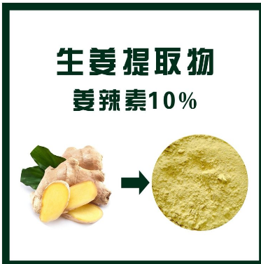 生姜提取物,Ginger extract