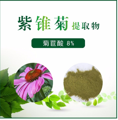 紫錐菊提取物,Echinacea extract