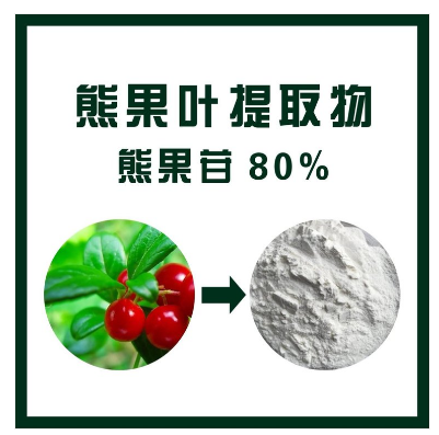 熊果叶提取物,Bear fruit leaf extract