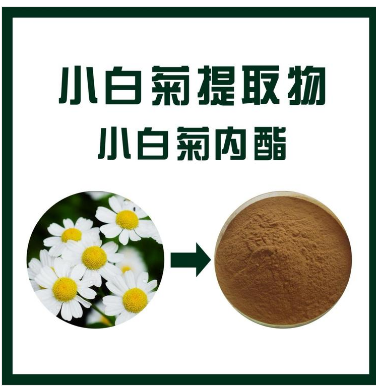小白菊提取物,Small Chrysanthemum Extract