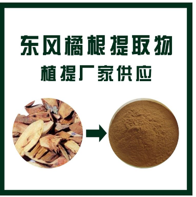 东风橘根提取物,Dongfeng orange root extract