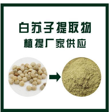 白蘇子提取物,Fructus Platinum Extract